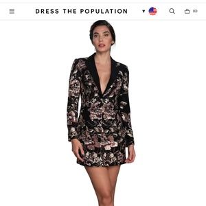 Dress the Population Berkeley Dress